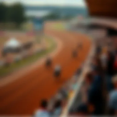 Aerial view of a horse racing event with spectators